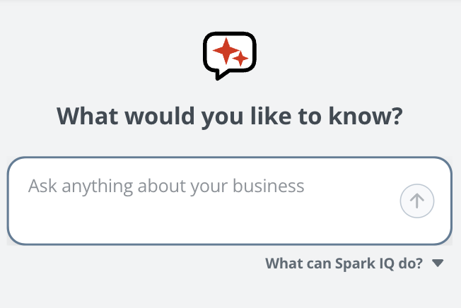 Ask Spark anything about your business in plain English
